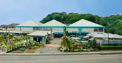 The Garden – Yoneyama Plantation