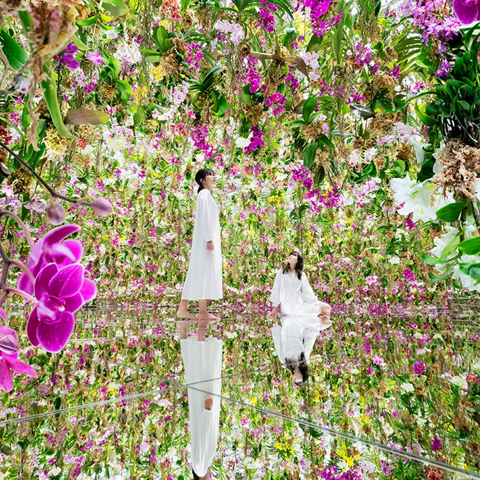 teamLab Planets