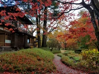 Photo Album Japan 1