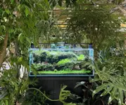 Photo Album Japan 1
