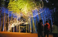 Photo Album Japan 1