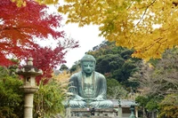 Photo Album Japan 1