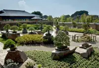 Photo Album Japan 1