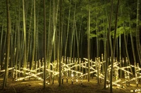Photo Album Japan 1