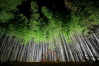 Photo Album Japan 1