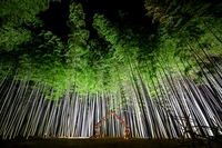 Photo Album Japan 1