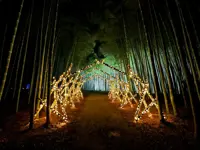 Photo Album Japan 1