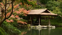 Photo Album Japan 1